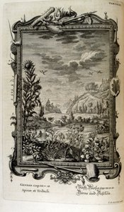Kobberstikk fra 'Physica Sacra' av den sveitsiske lærde. Johann Jakob Scheuchzer av Johann Jakob Scheuchzer