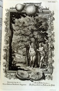 Kobberstikk fra 'Physica Sacra' av den sveitsiske lærde. Johann Jakob Scheuchzer