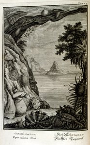 Kobberstikk fra 'Physica Sacra' av den sveitsiske lærde. Johann Jakob Scheuchzer av Johann Jakob Scheuchzer