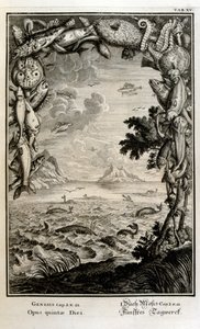 Kobberstikk fra 'Physica Sacra' av den sveitsiske lærde. Johann Jakob Scheuchzer av Johann Jakob Scheuchzer