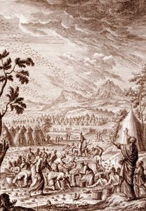 Hebreere som kjemper mot en gresshoppeplag av Johann Jakob Scheuchzer