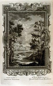Illustrasjon av Johann Jakob Scheuchzer