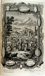 Pest av lus og mygg av Johann Jakob Scheuchzer