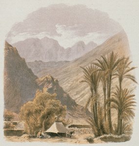 Sinai. Etsning av Bernatz et al - Steinkopk J.F. Redaktør av Johann Martin Bernatz
