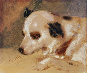 hundehode av Johann Matthias Ranftl
