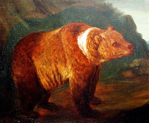 A Brown Bear in a Landscape, ca. 1719 (olje på lerret) av Johann Melchior Roos