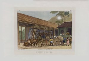 Sukkermøllen. Fra pittoreske reiser i Brasil, 1830-1835.