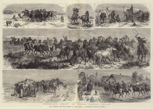 Livet blant villhestene i Puszta, eller det ungarske hedelandet