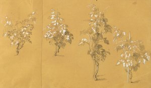 Weinstock, Studie for "Hermann og Dorothea i vingården" av Johann Peter Krafft