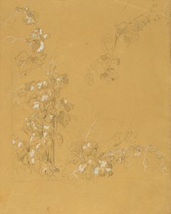 Weinstock, Studie for "Hermann og Dorothea i vingården" av Johann Peter Krafft