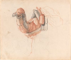 Kamel av Johann Rudolph Schellenberg