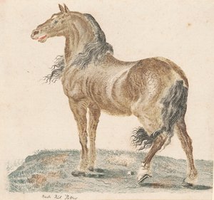 Nabohesten, 1690-tallet. av Johann Teyler