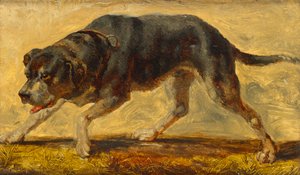 hundestudie