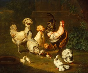 Fjærkre i et landskap (olje) av Johann Wenzel Peter