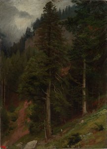 Skråning i granskog av Johann Wilhelm Schirmer