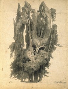 Sypresser i parken ved Villa d’Este i Tivoli av Johann Wilhelm Schirmer