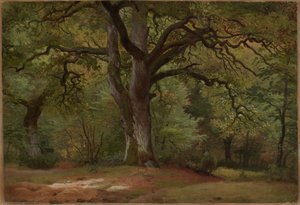 Eikeskog i Solling av Johann Wilhelm Schirmer