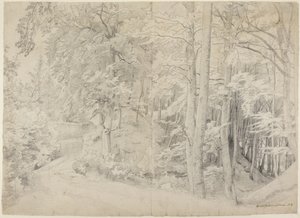 I bøkeskogen av Johann Wilhelm Schirmer