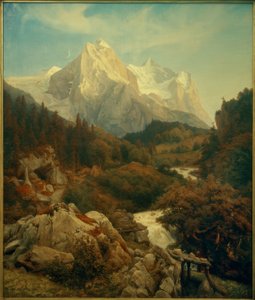 Johann Wilhelm Schirmer, Wetterhornet