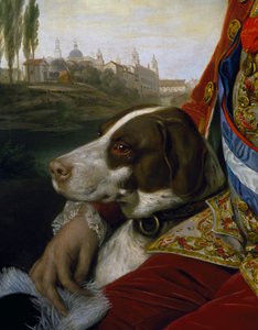 Hund, detalj fra portrett av Ferdinand av Bourbon, hertug av Parma