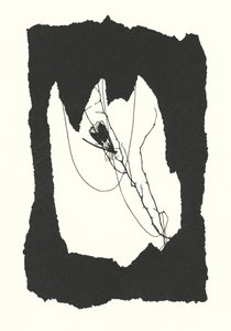 av Johanna Beckmann