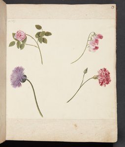 Studie av blomster av Johanna Fosie