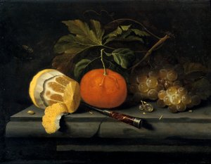 Frukt på en borddekking av stein, c1653-1659 av Johannes Borman