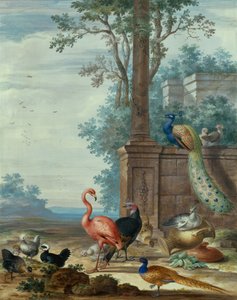 Et italiensk landskap med en påfugl, fasan, flamingo og andre fugler (gouache) av Johannes Bronckhorst