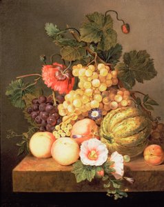 Stilleben med frukt