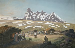 Beiteliv under Skagastølstindane