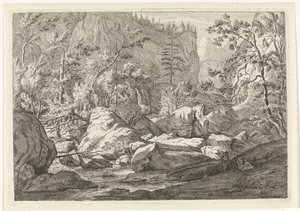 Ravine med steinblokker og trær Landskap i Chartreuzer-fjellene (serietittel) av Johannes Glauber