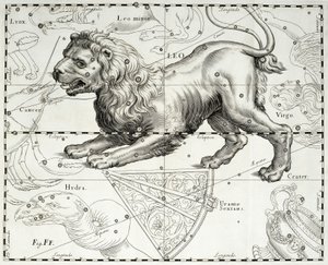 Løven, stjernekonstellasjonen Lion, illustrasjon hentet fra Johann Hevelius (1611-1687) stjerneatlas Firmamentum Sobiescianum sive Uranographia, Gdansk