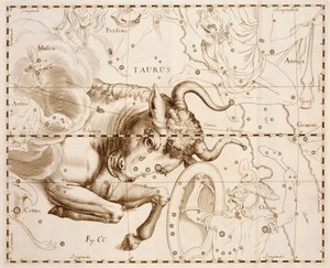 Tyren (stjernetegn), gravering fra Firmamentum Sobiescianum sive Uranographia, komplett stjernekatalog, av Johann Hevelius (1611-1687), trykt i Gdansk