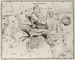 Stjernebildet Canes Venatici, Jakthunder. Plate tegnet fra "" Firmamentum Sobiescanum sive Uranographia"" av Johannes Hevelius eller Hevel (1611-1687) av Johannes Hevelius