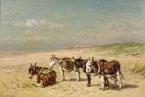 Esler på stranden