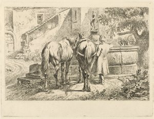 Drikkehester ved en fontene