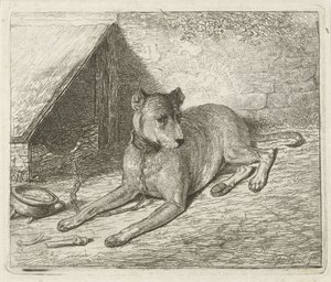 Hund på en lenke ved et hundehus