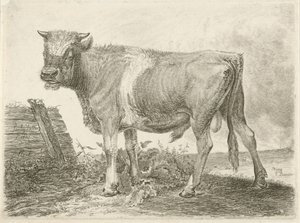 Stier av Johannes Mock