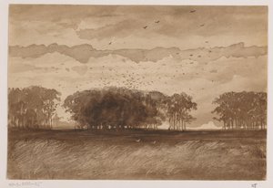 Rookery i Nord-Brabant
