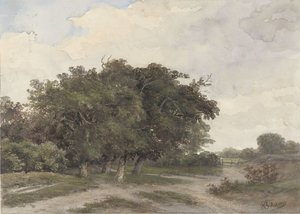 Landskap med trær