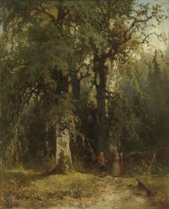 Utsikt i skogen