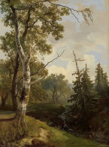 Waldstück bei Wolfheze (skogsutsikt ved Wolfheze)