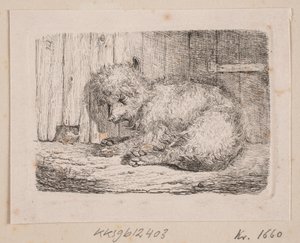 En langhåret hund av Johannes Wilhelm Zillen