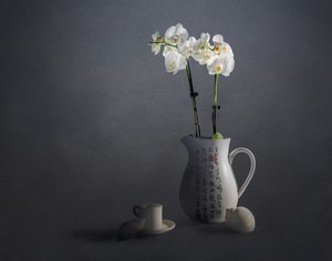 Elegant orkide-stillbilde av John-Mei Zhong