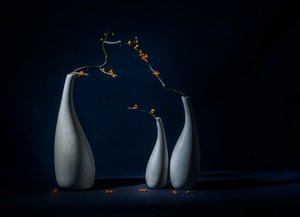 Elegante vaser med blomster av John-Mei Zhong