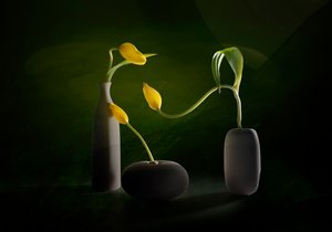 Grønne og gule blomstervaser av John-Mei Zhong