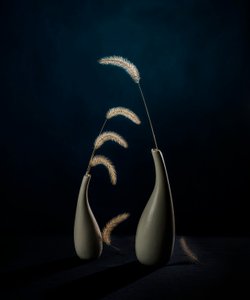 Moody botaniske vaser