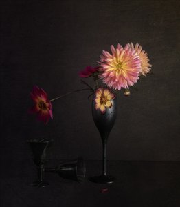 Stilleben med en stemningsfull dahlia