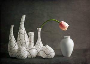 Rosa tulipanvaser med sprekker