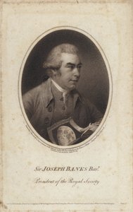 Sir Joseph Banks , engelsk naturforsker, botaniker og president for Royal Society (gravering) av John (after) Russell